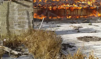 Incendio consume granja de pollos en Santiago Rodríguez