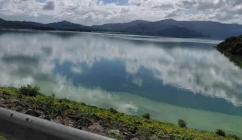 Científicos dominicanos detectan cianobacterias tóxicas en las presas de Hatillo y Valdesia