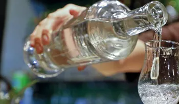 10 datos curiosos que no sabías del pisco peruano