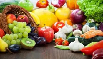 La salud intestinal: Clave para que el cerebro funcione mejor