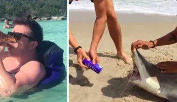 El maltrato animal de unos estudiantes ebrios durante el "spring break" que indignó a las redes sociales