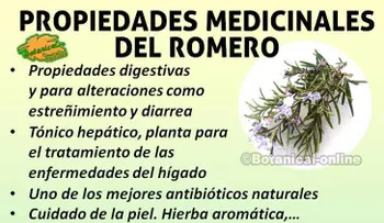 Los grandes beneficios para la salud que ocultan las farmacéuticas 