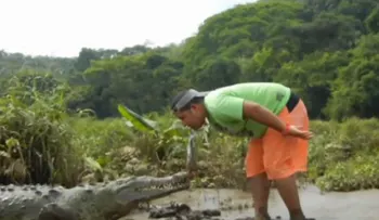 Video: hombre alimenta a un cocodrilo con la boca