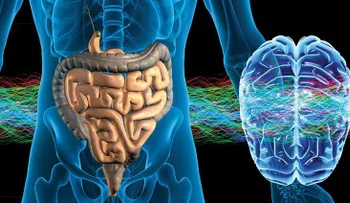 10 datos sobre la inteligencia del intestino que no sabías