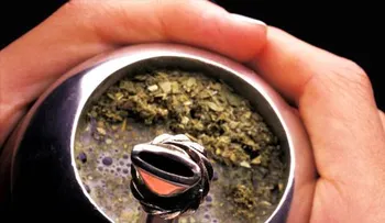 Mate, vino o agua: ¿qué bebida prefieren los argentinos?