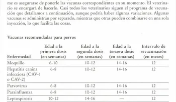 Un niño pequeño cree más lo que dice un adulto si este es amistoso
