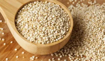 Los 10 super increíbles beneficios de la quinoa