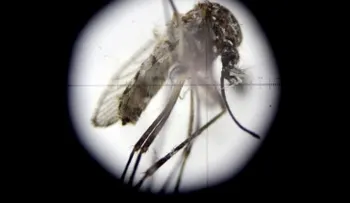  EE.UU. agrega a Perú a la lista de países con restricciones de viaje por el zika