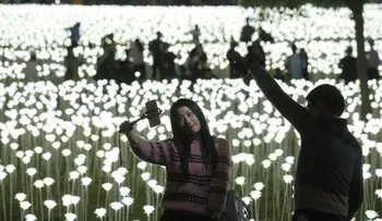 Hong Kong celebra San Valentín con 25.000 rosas de luz