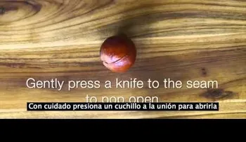 ¡No podrás creer los increíbles beneficios del cuesco del aguacate! (VIDEO)
