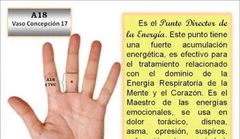 Los 8 puntos e Influencia en Mano Acupuntura Coreana.