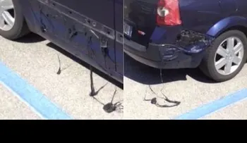 ¡Increíble! Vehículo se derrite en plena calle por las altas temperaturas