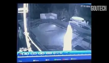 Deja a la novia en una piscina con un cocodrilo (VIDEO)