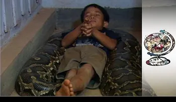 Este niño de 11 años tiene una amiga inusual: Una serpiente de 6 metros !!! (VIDEO)