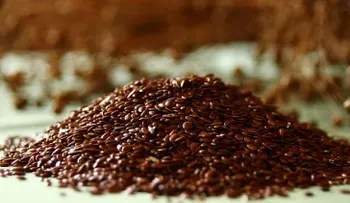 Sorprendentes beneficios de la linaza para la salud y la belleza