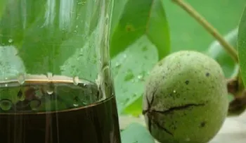 Infusión para decirle ADIOS a la tiroides, garganta y bronquitis