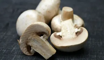 Comer champiñones dos veces a la semana reduce el riesgo de sufrir demencia