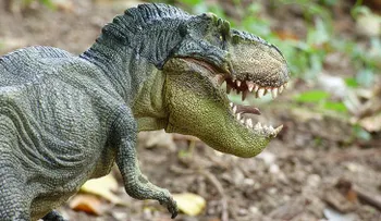 ¿Un asteroide no hizo desaparecer a los dinosaurios? Los científicos arrojan luz sobre su extinción