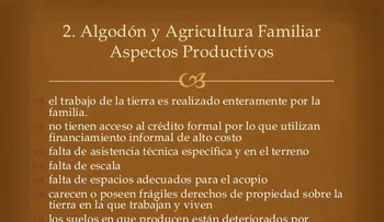 Productores nacionales reclaman erradicar los intermediarios