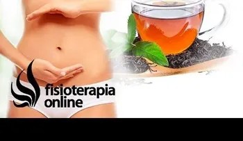 Riñón-vejiga, útero, ovarios y próstata; todas las plantas medicinales