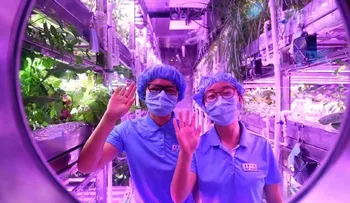 El curioso "Gran Hermano" con el que China pretende conquistar la Luna