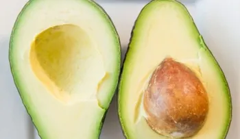Un aguacate al día ayuda bajar colesterol malo