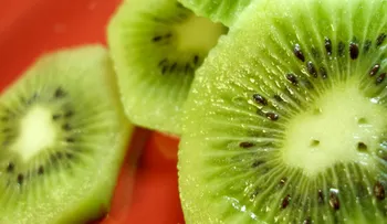 Conoce los 15 alimentos más poderosos para tu salud