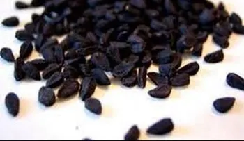 Los granos del comino negro pueden salvarte la vida: CURAN UN MONTON DE ENFERMEDADES