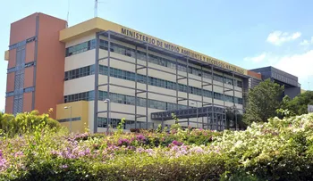 Ministerio de Medio Ambiente reitera cese definitivo de cultivo de ciclo corto en Valle Nuevo