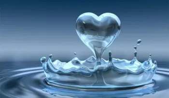 Día Mundial del Agua: 10 consejos para optimizar su uso