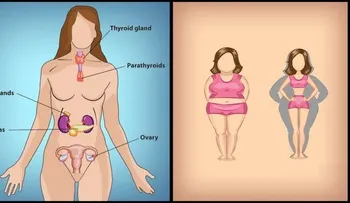 6 plantas para equilibrar tus niveles hormonales y reducir la depresión