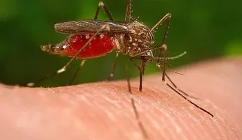 Suspenden serie en Puerto Rico por virus del Zika