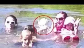 Casos y cosas paranormales en el mundo  (VIDEO)