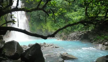 El río de color azúl: Una maravilla de la naturaleza 