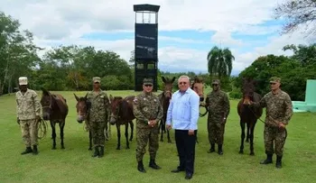 CEA entrega caballos al Ejército para patrullaje en la frontera