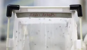  Se elevan a 70 los casos del virus del Zika en Nicaragua