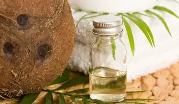 7 Remedios naturales y plantas para los dolores de rodilla