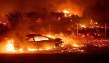 Van por 31, muertos por incendios en California; 228 siguen desaparecidas