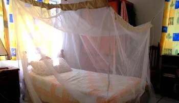 ¿Cómo evitar las picaduras de los mosquitos?