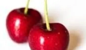 Comer cerezas reduce el riesgo de diabetes, la artritis y la gota 