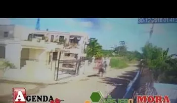Atracadores se mueven en caballo para robar en casas de SFM 