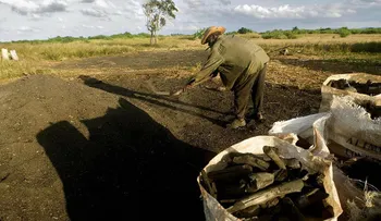 Cuba exportará carbón a Estados Unidos por primera vez en más de 50 años