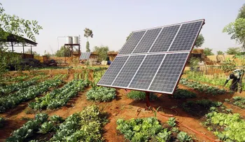 "RD puede convertirse entre países líderes en despliegue de energías renovables", según informe