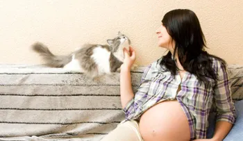 Toxoplasmosis: cuál es el peligro real de tener un gato