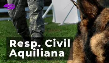 Qué es la responsabilidad civil aquiliana