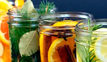 Aguas depurativas para limpiar y desintoxicar el organismo