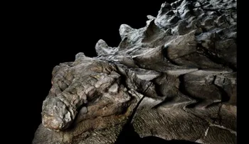 Este dinosaurio está tan bien conservado que se le ve la piel