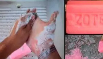 Nunca pensé que un simple jabón rosado sirviera para ahuyentar las moscas y cucarachas (VIDEO)