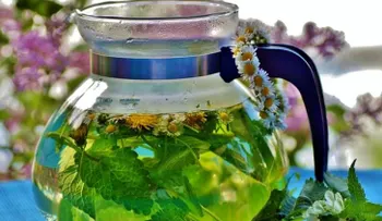Descubre las propiedades del toronjil o melisa: Aromática y muy medicinal