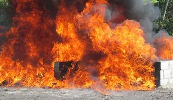Procuraduría incinera 427 kilogramos de diferentes drogas